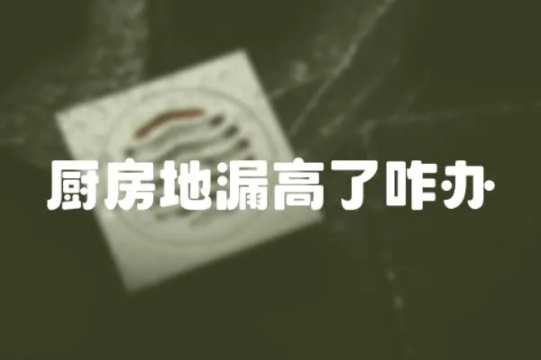 廚房地漏高了咋辦