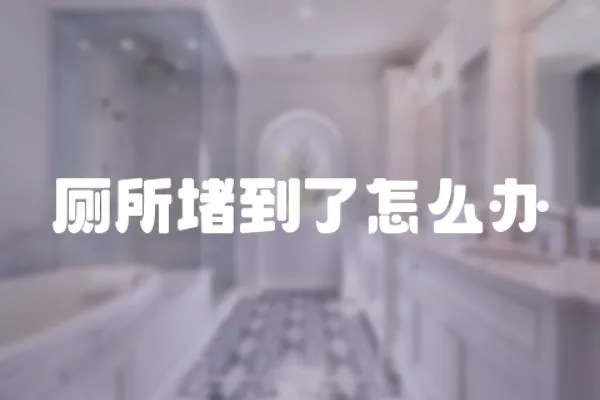 廁所堵到了怎么辦