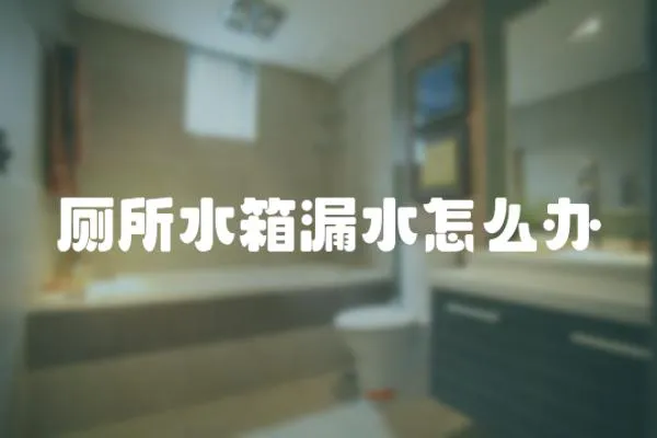 廁所水箱漏水怎么辦