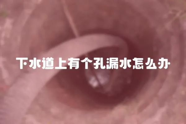 下水道上有個孔漏水怎么辦