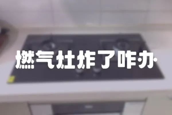 燃?xì)庠钫苏k