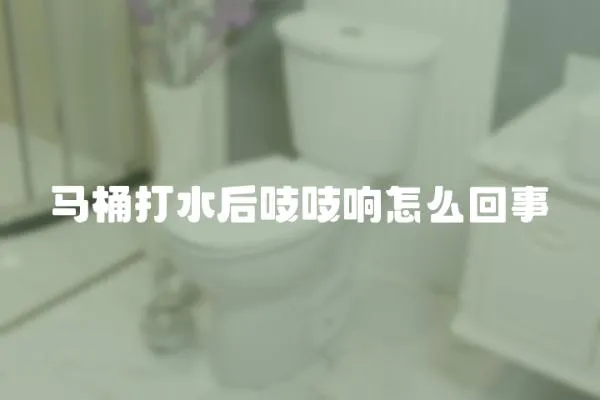 馬桶打水后吱吱響怎么回事