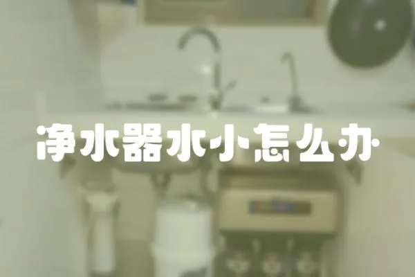凈水器水小怎么辦