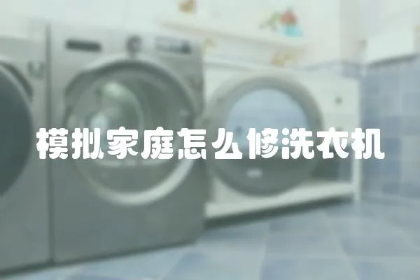 模擬家庭怎么修洗衣機