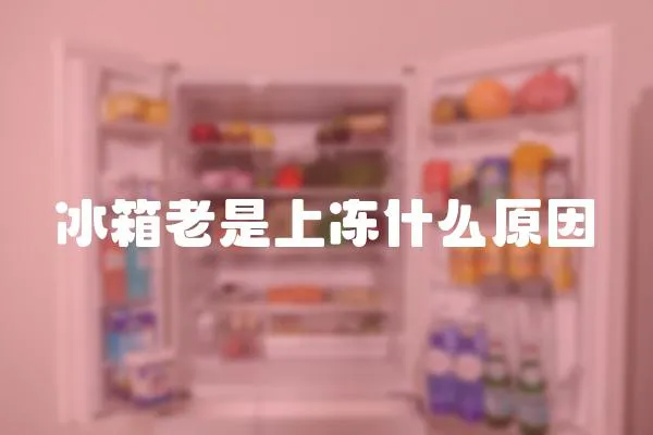 冰箱老是上凍什么原因
