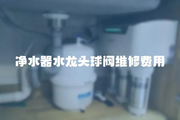 凈水器水龍頭球閥維修費用