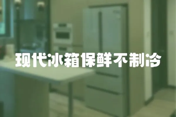 現代冰箱保鮮不制冷