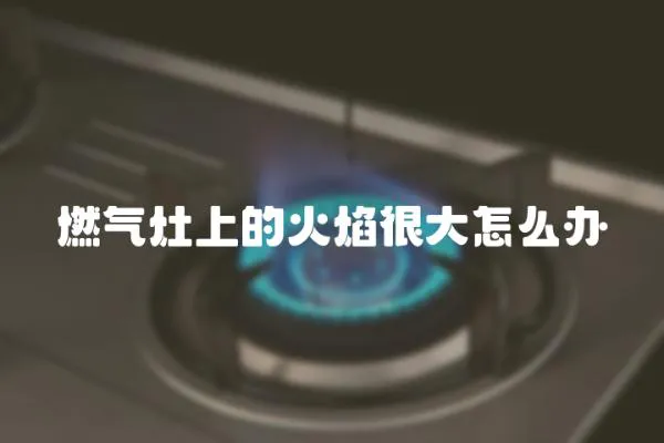 燃氣灶上的火焰很大怎么辦