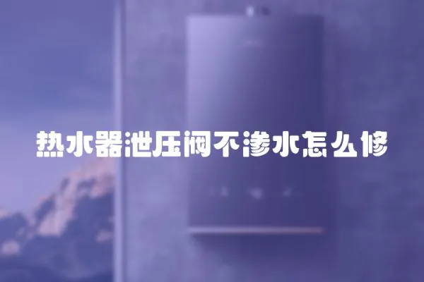 熱水器泄壓閥不滲水怎么修