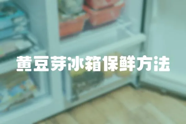 黃豆芽冰箱保鮮方法