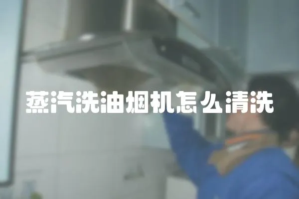 蒸汽洗油煙機怎么清洗