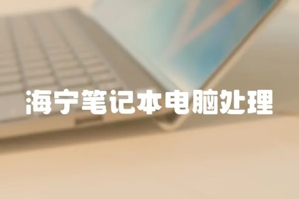 海寧筆記本電腦處理