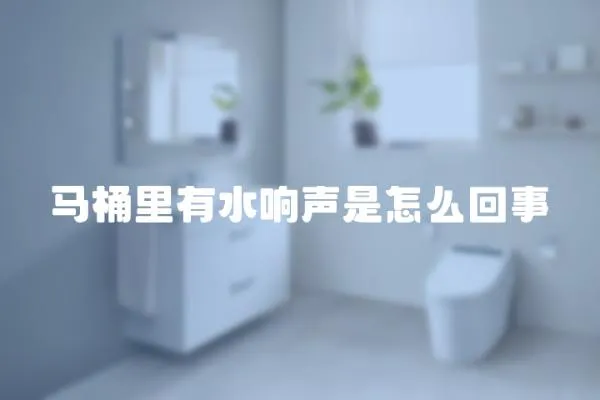 馬桶里有水響聲是怎么回事