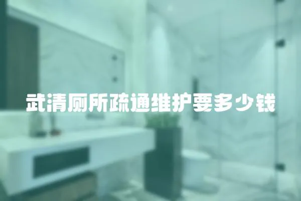 武清廁所疏通維護要多少錢