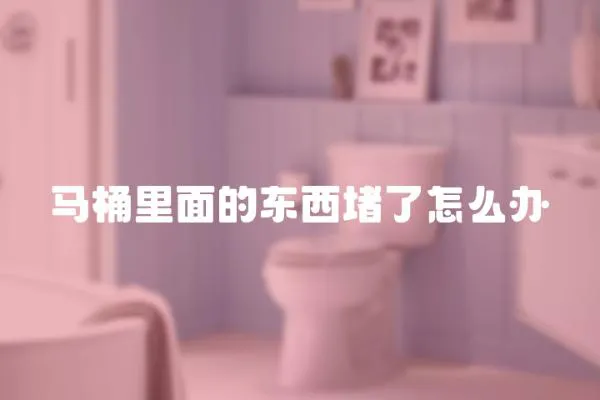 馬桶里面的東西堵了怎么辦