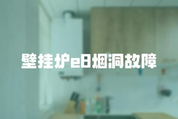 壁掛爐e8煙洞故障
