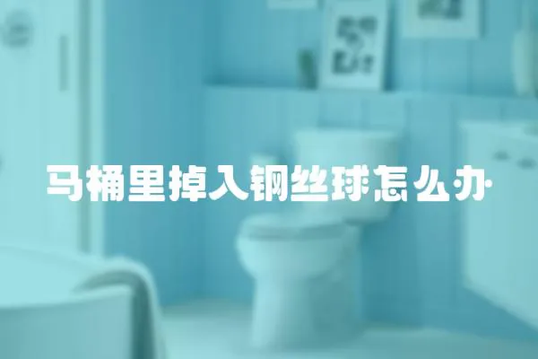 馬桶里掉入鋼絲球怎么辦
