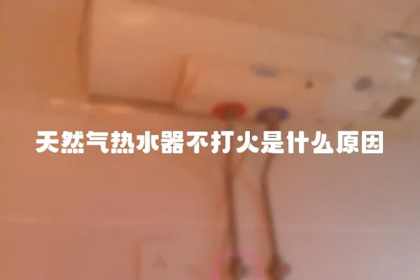 天然氣熱水器不打火是什么原因