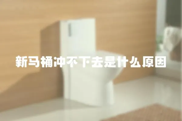 新馬桶沖不下去是什么原因