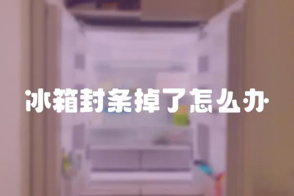冰箱封條掉了怎么辦