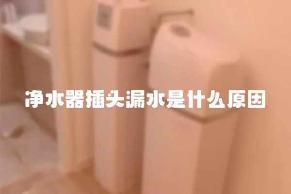 净水器插头漏水是什么原因