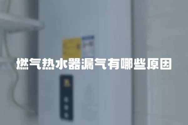 燃氣熱水器漏氣有哪些原因