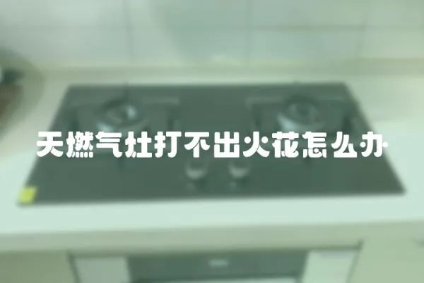 天燃氣灶打不出火花怎么辦