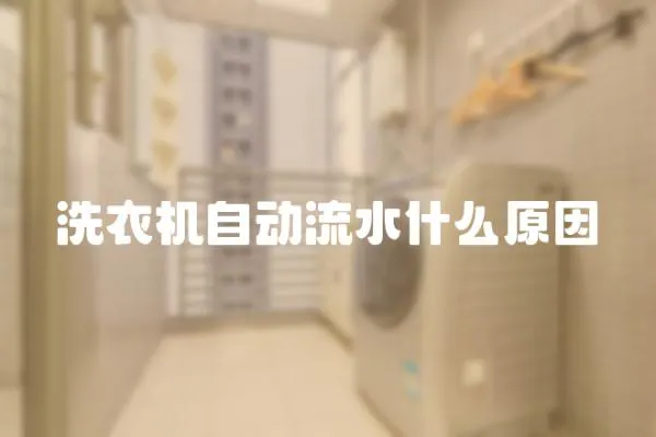 洗衣機自動流水什么原因