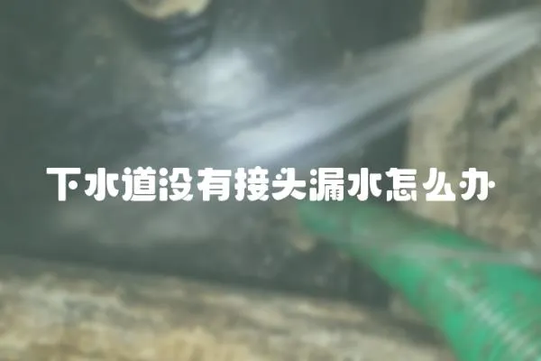 下水道沒有接頭漏水怎么辦