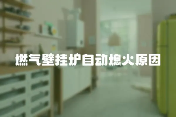 燃氣壁掛爐自動熄火原因