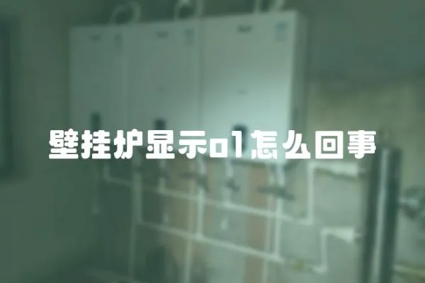 壁掛爐顯示o1怎么回事