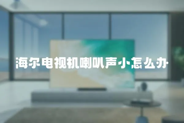 海爾電視機喇叭聲小怎么辦