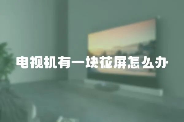 電視機有一塊花屏怎么辦