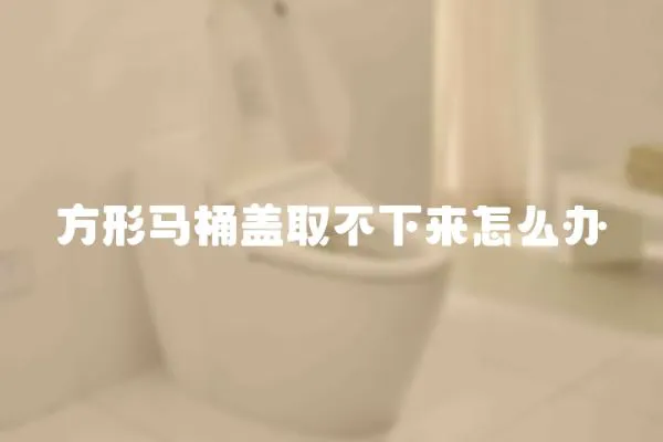 方形馬桶蓋取不下來怎么辦