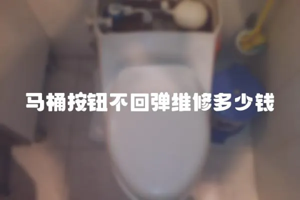 馬桶按鈕不回彈維修多少錢
