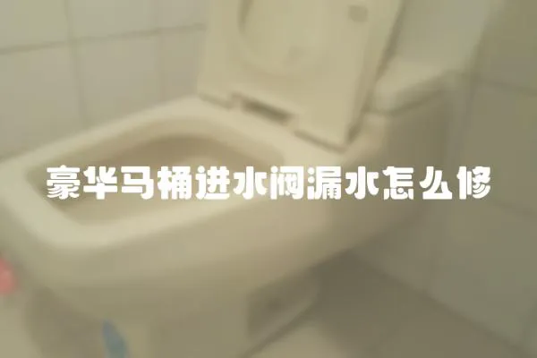 豪華馬桶進(jìn)水閥漏水怎么修