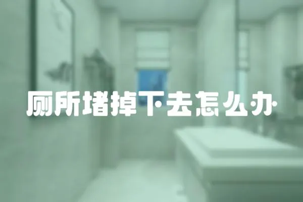 廁所堵掉下去怎么辦