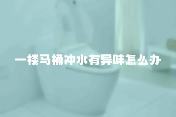 一樓馬桶沖水有異味怎么辦