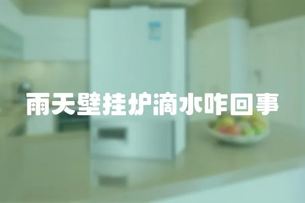 雨天壁掛爐滴水咋回事