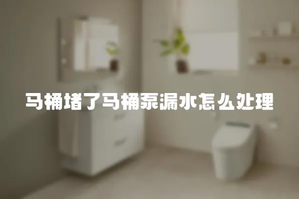 馬桶堵了馬桶泵漏水怎么處理