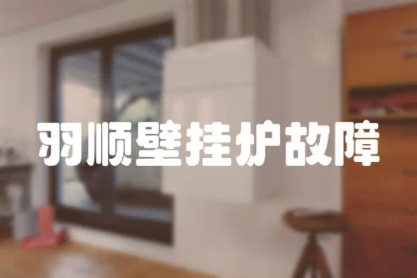 羽順壁掛爐故障