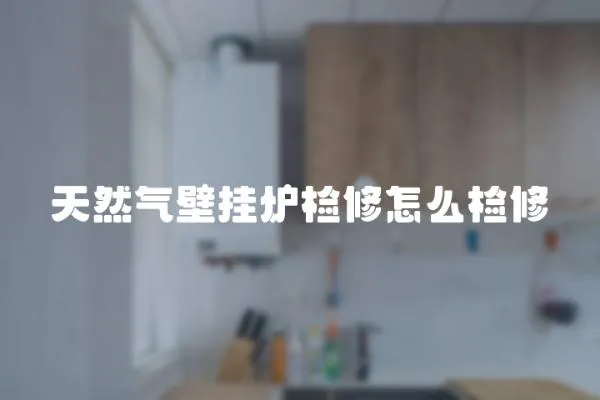 天然氣壁掛爐檢修怎么檢修