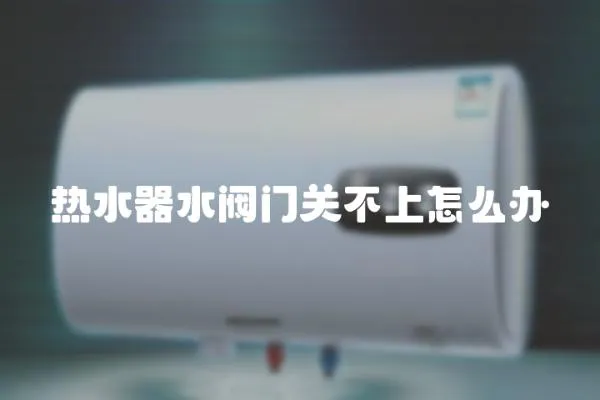 熱水器水閥門關不上怎么辦