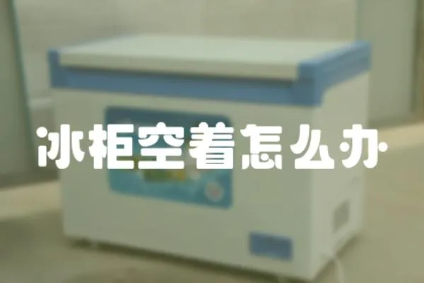 冰柜空著怎么辦