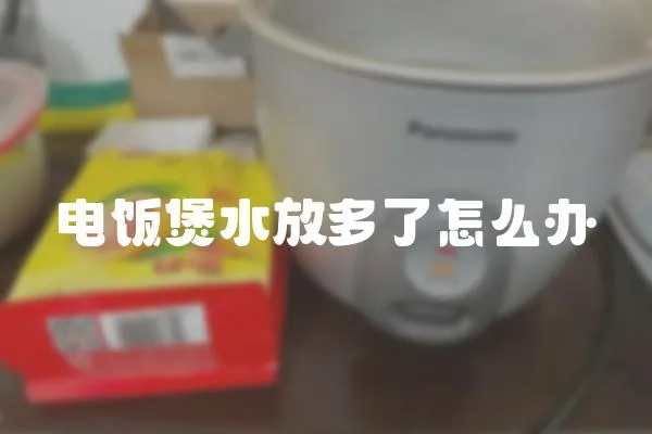 電飯煲水放多了怎么辦