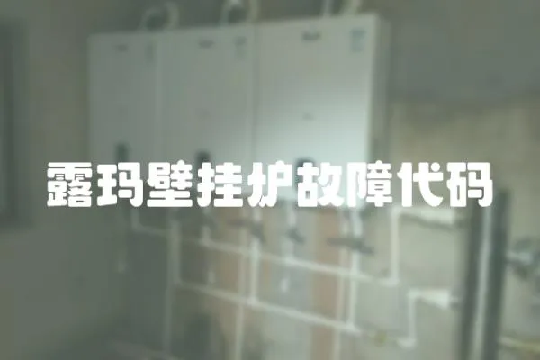 露瑪壁掛爐故障代碼