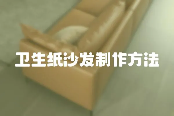 衛生紙沙發制作方法