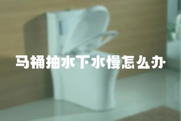 馬桶抽水下水慢怎么辦