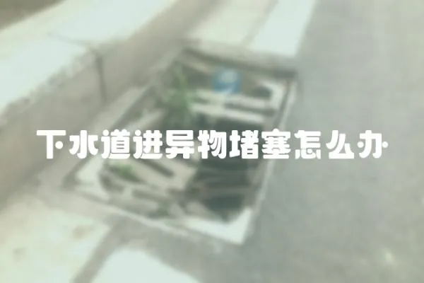 下水道進異物堵塞怎么辦