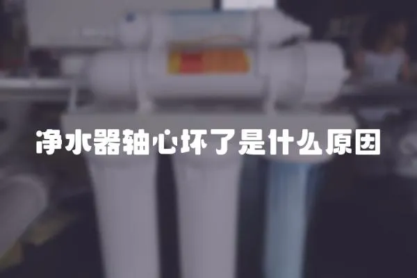 凈水器軸心壞了是什么原因